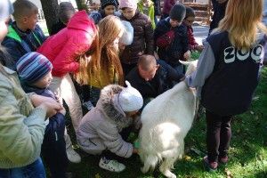 У Рівненському зоопарку діти видоїли козу (фото)