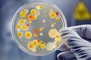 Ботулізм нагадує про себе і волинянам