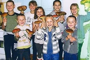 ФОТО НА КОНКУРС: грибна сімейка
