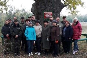 На Волині почалося масштабне прибирання лісу