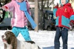 ВІКНО РУБРИКИ: "Білий сніг на зеленому листі"