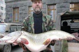 СЕНСАЦІЯ: оце так «михайлівна»!