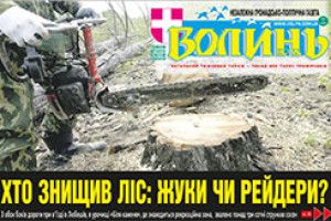 ХТО ЗНИЩИВ ЛІС:  ЖУКИ ЧИ РЕЙДЕРИ?