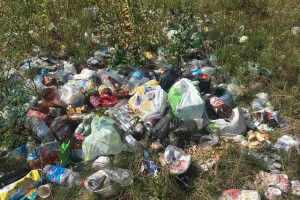 Відпочивальники перетворили берег озерця на сміттєзвалище (фото)