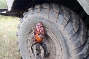 Бурштинокопачі продовжують вихвалятися своїми «трофеями» (фото)