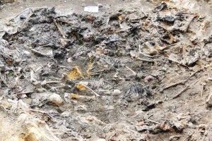 Понад усе любили свою землю — і стали святими мучениками…