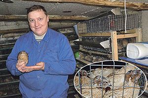 «ЗАРОБЛЯЮ НА ЖИТТЯ ПЕРЕПІЛКАМИ»
