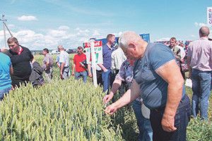 БЕЗ ЛЮБОВІ ДО ЗЕМЛІ НЕ БУДЕ ХОРОШИХ РЕЗУЛЬТАТІВ