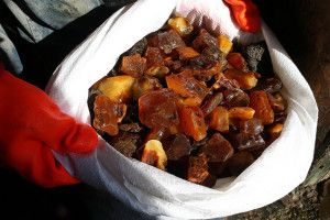 У Києві вилучили 120 кілограмів бурштину з Рівненщини (відео)