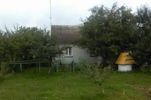 Якби не пильні сусіди – блискавка б спалила хату (фото)