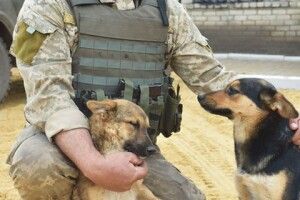 Голова сільради «мобілізував» до війська 27 земляків-волинян – і пішов на фронт сам! (фото)