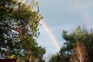 На Волині – незвичне природне явище (фото)