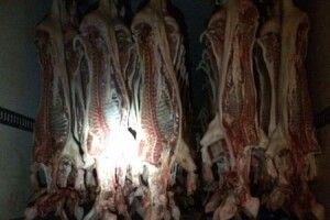 У Львові затримали 250 свиних туш без документів