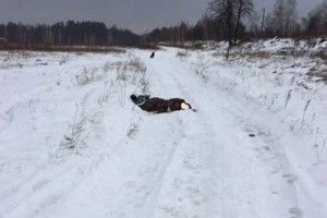 На польовій дорозі Рівненщини водій збив чоловіка і втік. Тіло знайшли наступного дня (ФОТО)