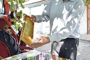 ПАСІЧНИК  ІЗ ФІЛОСОФІЄЮ ХЛІБОРОБА