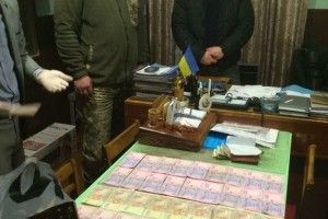 На Волині начальник полігону за хабарі дозволяв рубати ліс (відео, фото)