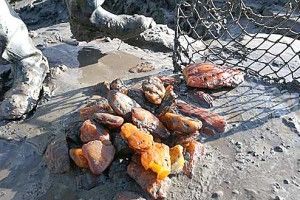 «Сонячний камінь» на Поліссі добуває фірма із... Сейшельських островів