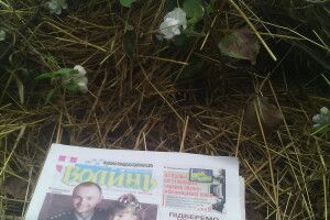 Розцвітали яблуні і вишні... восени