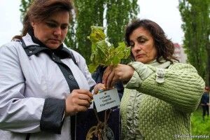 Заклали сквер пам’яті «Героїв небесного легіону»