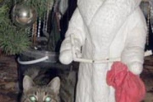 ФОТО НА КОНКУРС: доки Снігуроньки нема