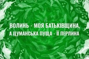 Оголосили дитячий конкурс «Волинь – моя Батьківщина, а Цуманська пуща – її перлина»