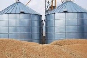 На Волині збудують новий елеватор потужністю 65 тисяч тонн