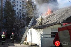 У Рівному 15 рятувальників гасили пожежу і винесли з вогню кошеня (фото)