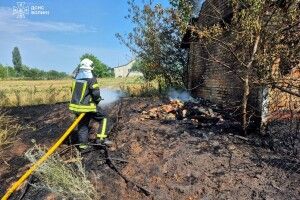 У селі на Волині підпал сухостою ледь не спалив обійстя