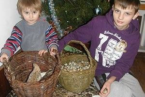 ГОСПОДАРІ: а на Діброві живуть… пташки чудові!