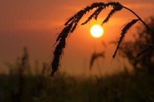 Погода на п'ятницю, 17 липня: знову короткочасні дощі та грози
