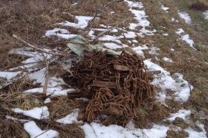 Троє волинян можуть сісти за ґрати на шість років… за крадіжку ланцюга