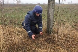 На Рівненщині піротехніки знищили артснаряди, знайдені жителями Бадівки та Вельбівного (фото)