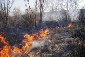 Штрафи збільшують: волинян за спалення трави битимуть гривнею