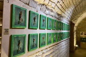 Мистецтво на підтримку ЗСУ: у Луцьку відбудеться благодійний розпродаж виставки «GREEN ART»