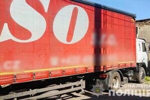 На Камінь-Каширщині виявили повну фуру незаконно зрізаних сосен (Фото)