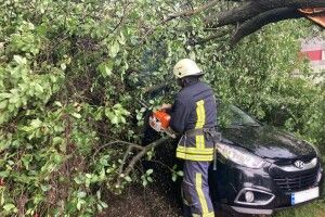 Негода на Волині: рятувальники вивільнили з-під зламаного дерева легковик 