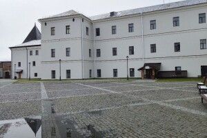 Що буде з коледжем в історичній частині Луцька 