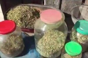 Виявили майже 22 кілограми наркотиків та зброю (відео)
