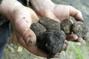 ПОЛІСЬКІ СЕЛЯНИ БІЛЯ РОЗБИТОГО КОРИТА