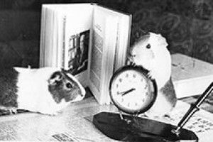 ФОТО НА КОНКУРС: володар часу