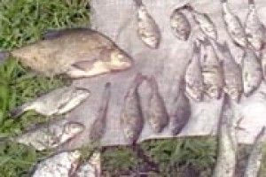 «КРИМІНАЛЬНИЙ УЛОВ» БРАКОНЬЄРІВ