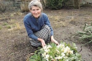 Вщухає біль, зникає втома, коли квітує еустома…