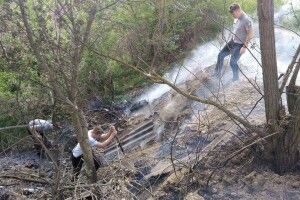 Луцькі муніципли знову запобігли пожежі (Фото)
