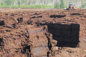 6 МІЛЬЙОНІВ НІБИ ВИПАРУВАЛИСЬ У ПОВІТРІ. І ВИННИХ НЕМА