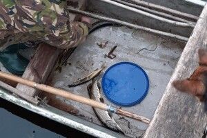 На Волині продовжують масово красти рибу: викрито 25 порушень (Фото)