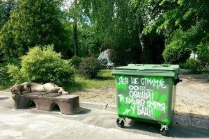 Жираф, слон, зебра та лев закликають відвідувачів зоопарку не бути свиньми (Фото)