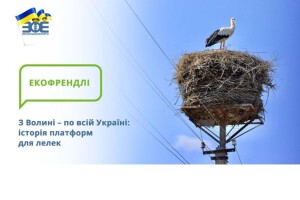 Хата для буськів: експеримент з Волині став національною практикою