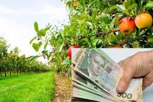 13 волинських садівничих підприємств отримали понад 22 мільйони гривень