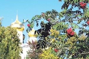 «ЛЮБОВЕ МОЯ ГОРОБИНОВА…»