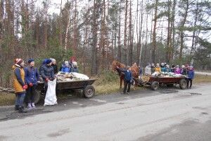 Школярі допомагають лісникам
